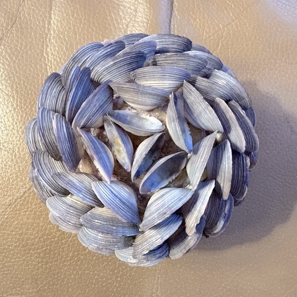 Pier 1 accent piece made entirely of small  seashells to enjoy anywhere - Picture 6 of 8